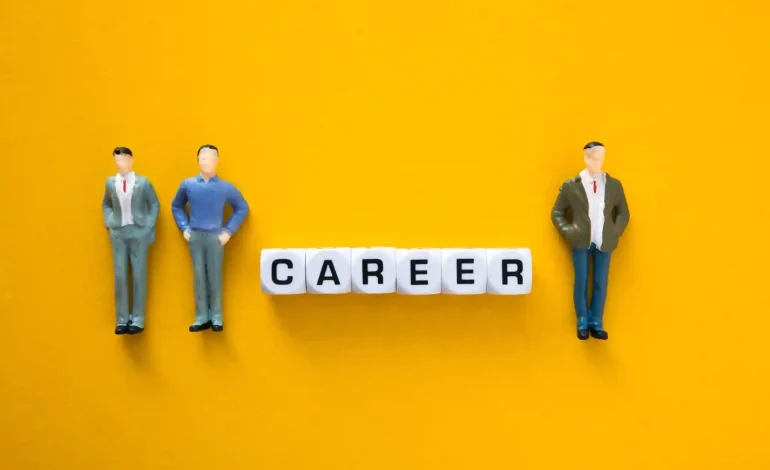 career advice and mentorship